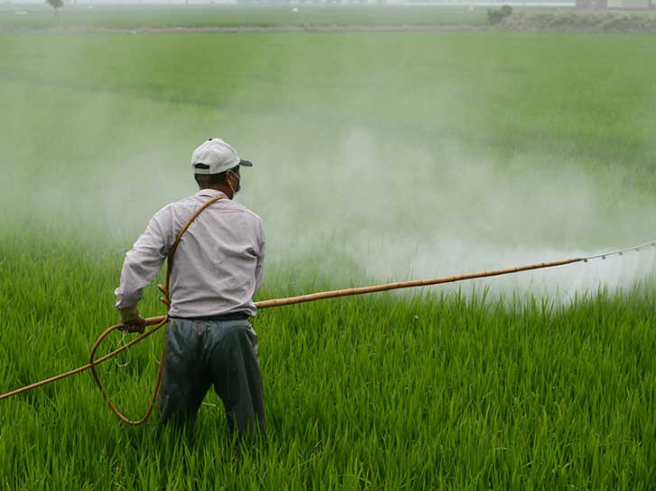 【新聞稿】芬普尼非致命毒物 關鍵在於農藥使用管理