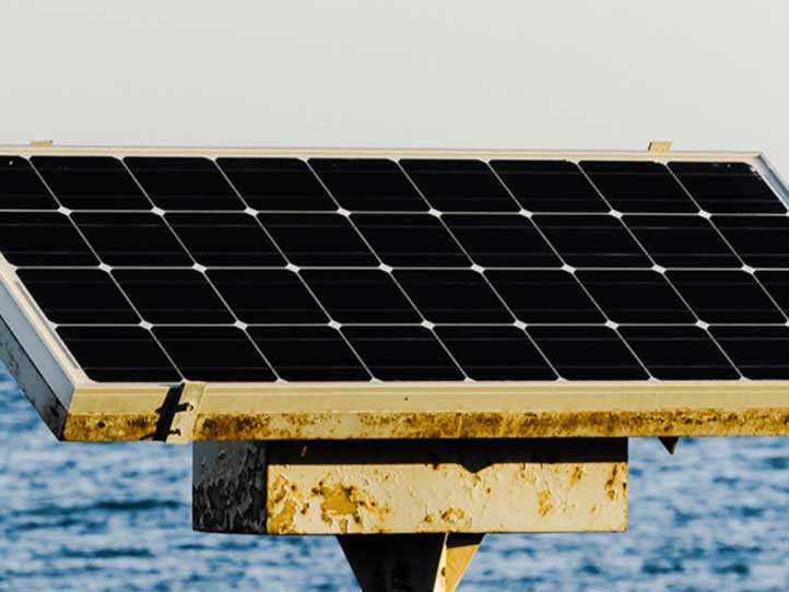 【新聞稿】水域型太陽光電應全面進行生態調查