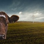 2050全球淨零排放趨勢下的畜牧業調適策略