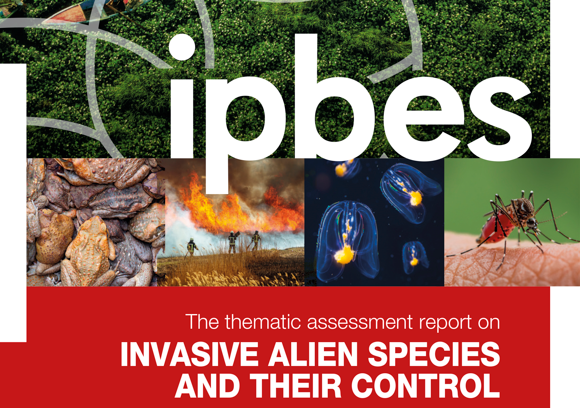「IPBES外來入侵種報告決策者摘要」重點翻譯