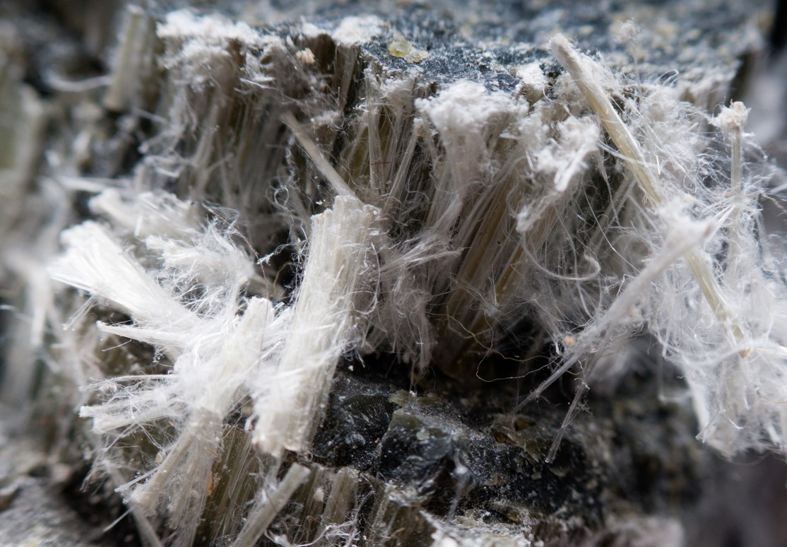 「致癌物石綿的廢棄與處理技術」專家意見