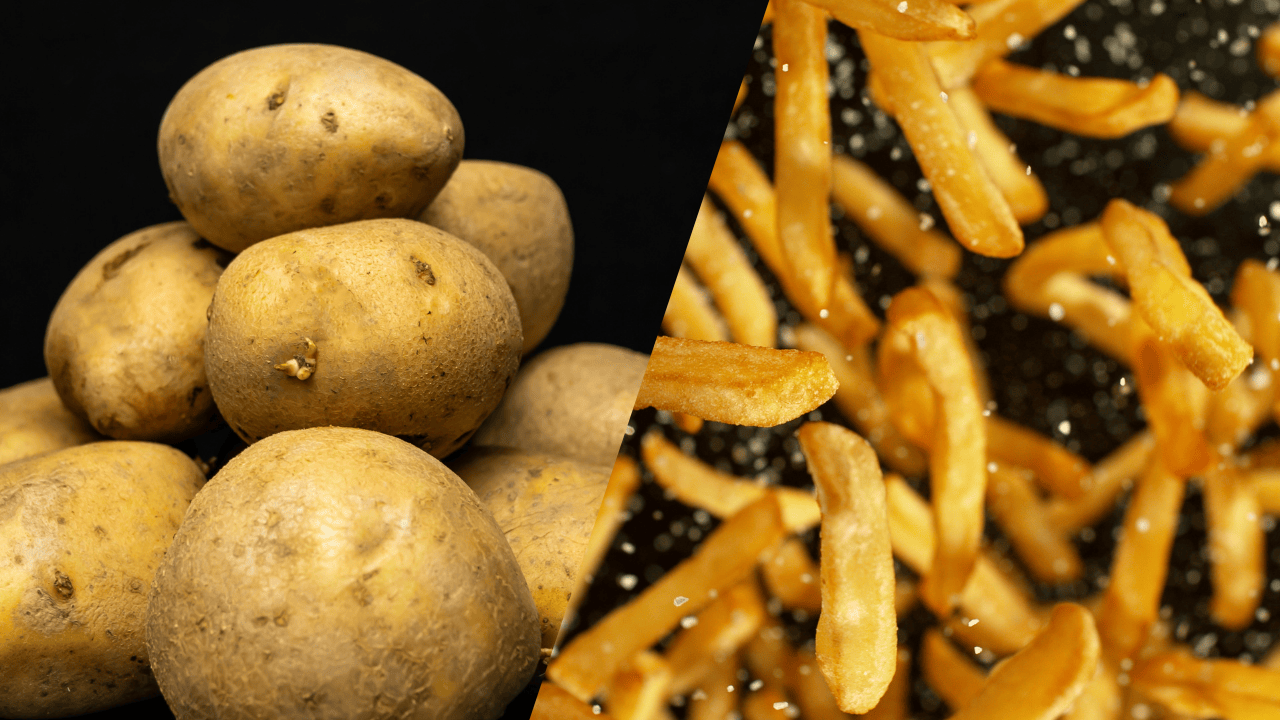 「美國產加工用馬鈴薯輸入新規含義」專家意見